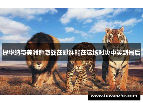 提华纳与美洲狮激战在即谁能在这场对决中笑到最后