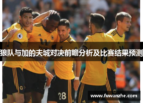 狼队与加的夫城对决前瞻分析及比赛结果预测